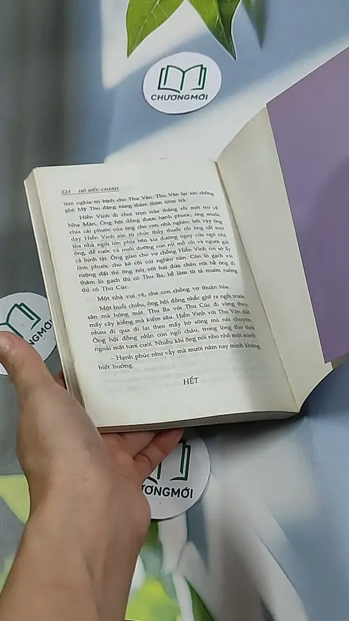 Chúc phận linh đinh - Hồ Biểu Chánh 698619