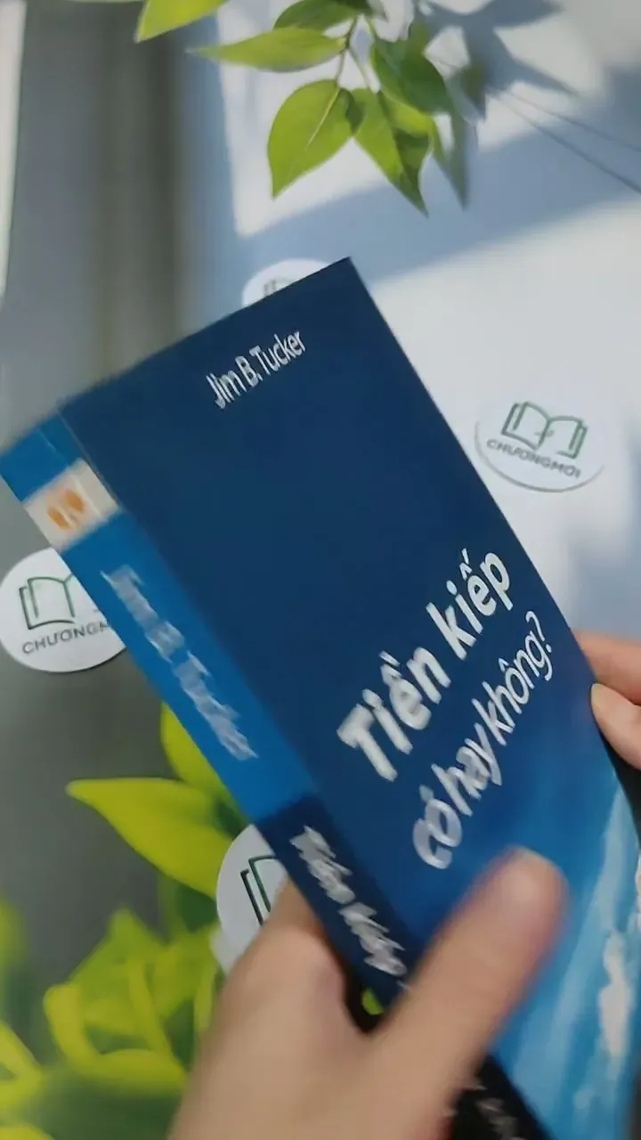 Tiền Kiếp - Có Hay Không? 705673