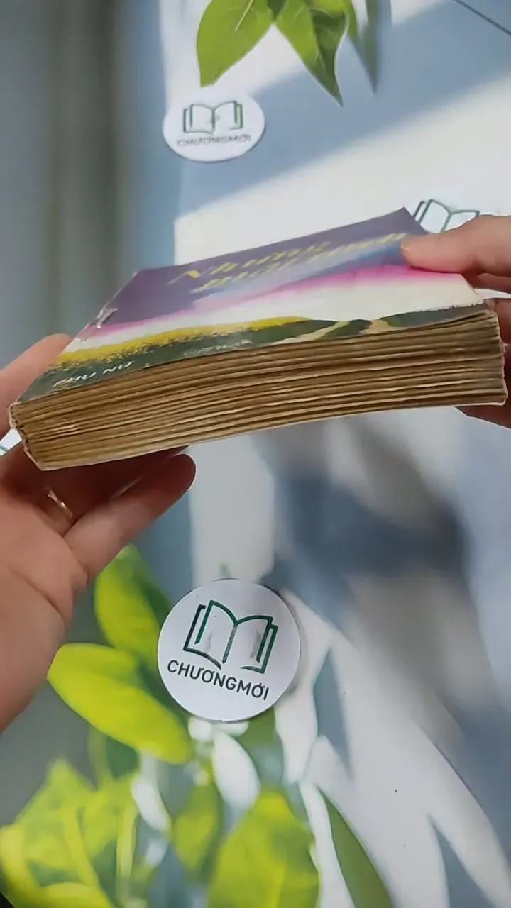 Những Mối Tình Đan Xen - Vũ Đình Bình - Phạm Sông Hồng 713835