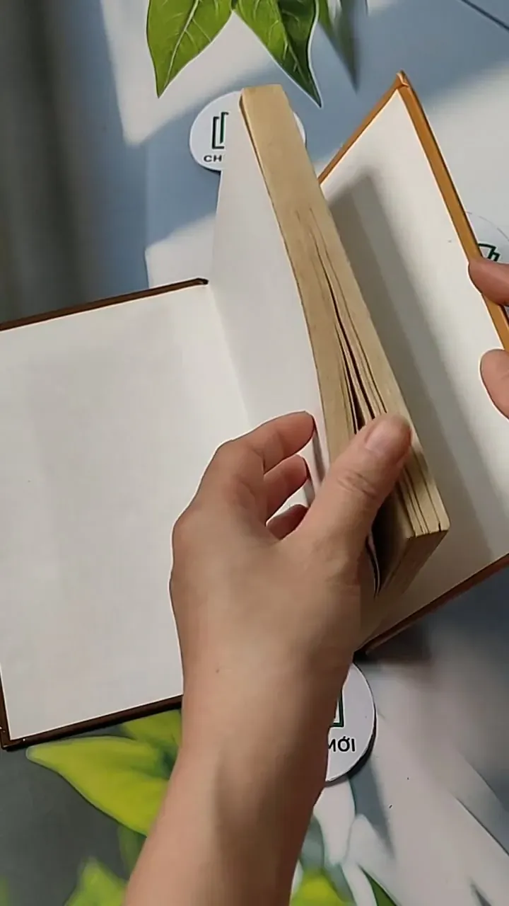 The City of Ember - Jeanne DuPrau 703089