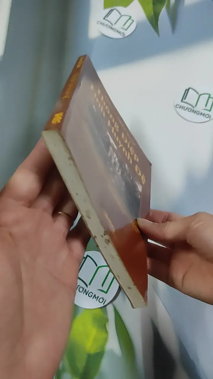 Thông điệp tình huynh đệ - Thích Nhất Hạnh 776241