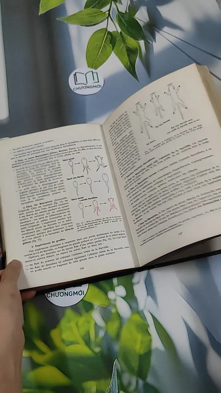 [MIỄN PHÍ BỌC SÁCH] Sciences Naturelles: Terminale D - Charles Désire 751224