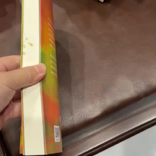 Tĩnh Lặng (Silence) – Thích Nhất Hạnh | Sức mạnh của sự im lặng trong thế giới ồn ào- K2