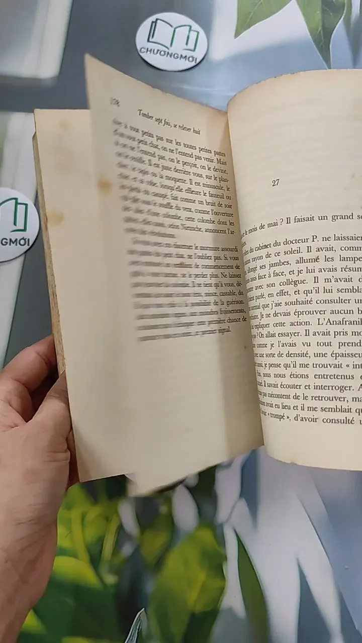 [MIỄN PHÍ BỌC SÁCH] Tomber sept fois, se relever huit - Philippe Labro 754471