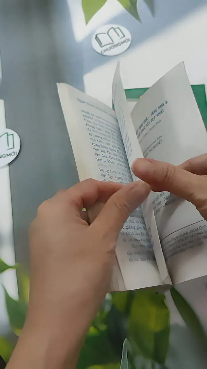 Combo Nghệ Thuật Tặng Hoa, Tặng Quà Và Những Lời Chúc Tốt Đẹp Nhất - Thái Bình 787502