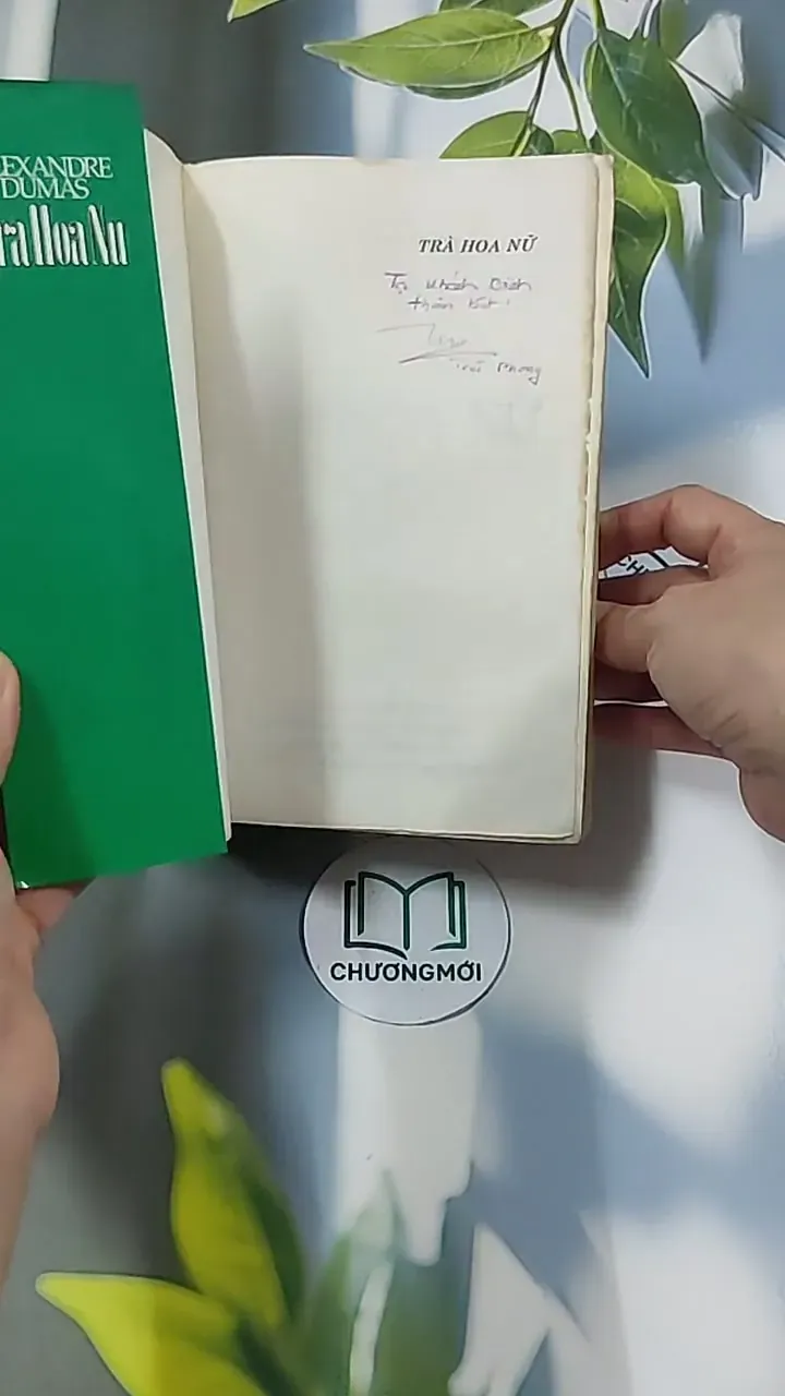 Trà Hoa Nữ 674981