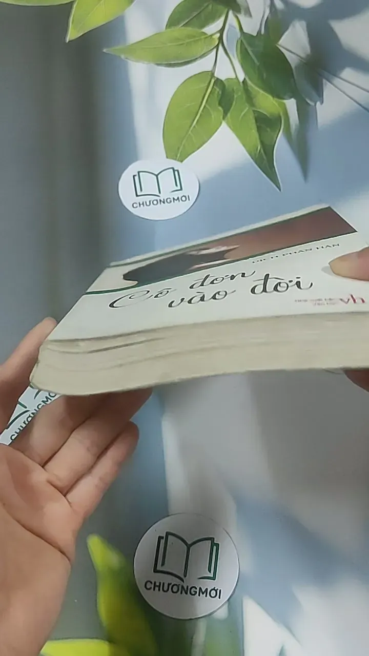 Cô đơn vào đời - Dịch Phấn Hàn 688643