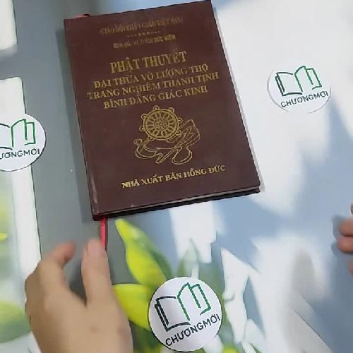 Đại Thừa Vô Lượng Thọ Trang Nghiêm Thanh Tịnh Bình Đẳng Giác Kinh - HT. Thích Đức Niệm