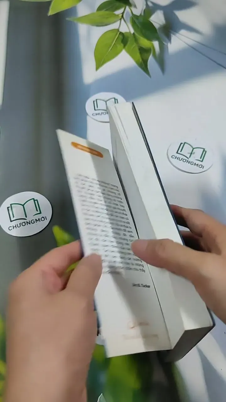 Tiền Kiếp - Có Hay Không? 705673