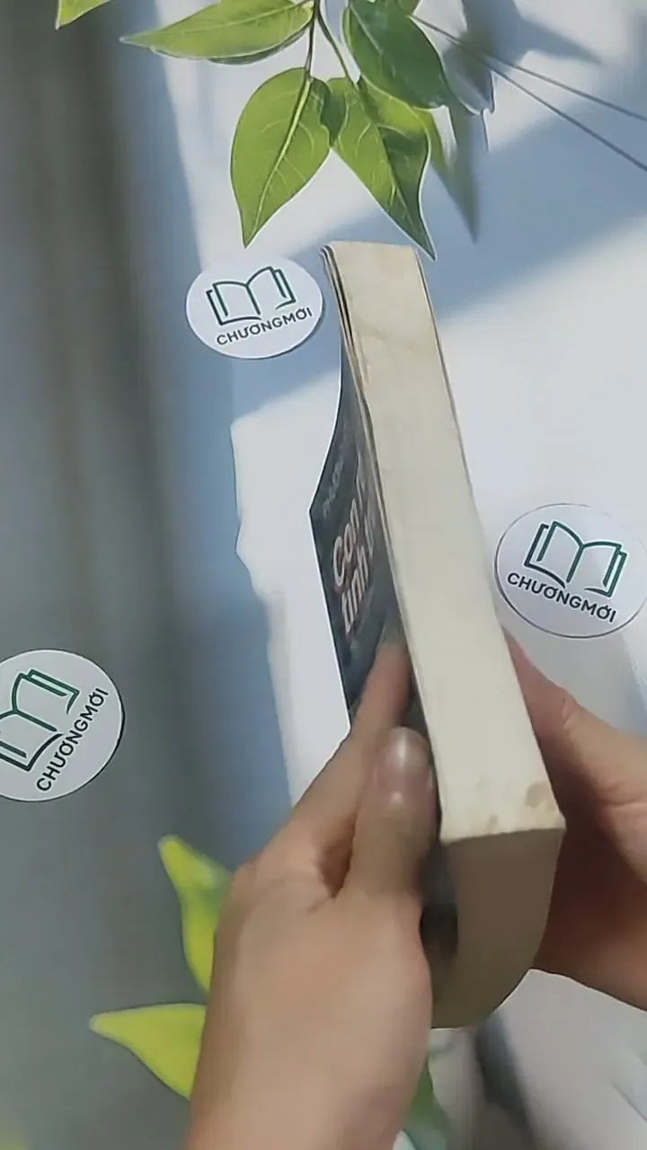 Con rể tỉnh trưởng - Phương Vỹ 695009