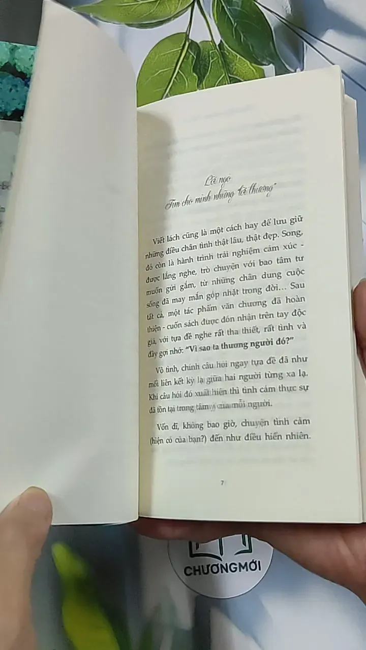 Vì sao ta thương người đó - Huy Hải 688717