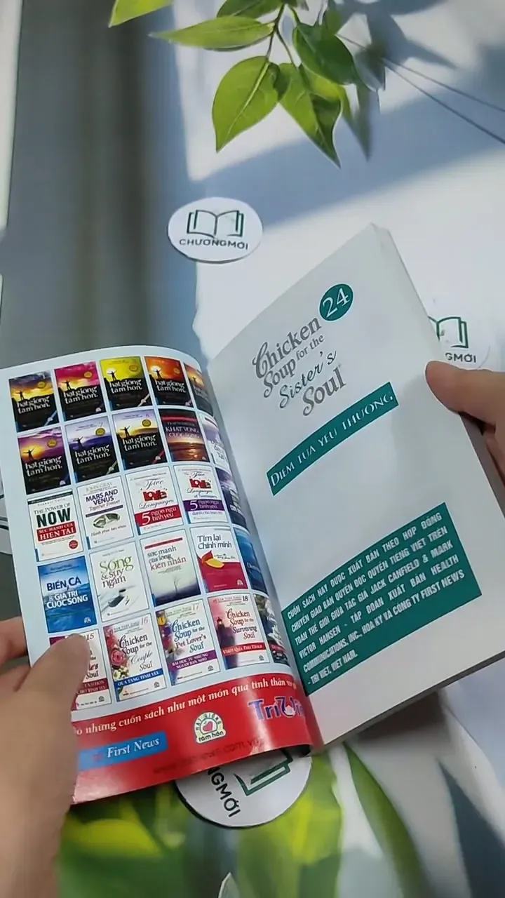 Chicken Soup For The Sister's Soul - 24: Điểm Tựa Yêu Thương - Jack Canfield, Mark Victor 705750