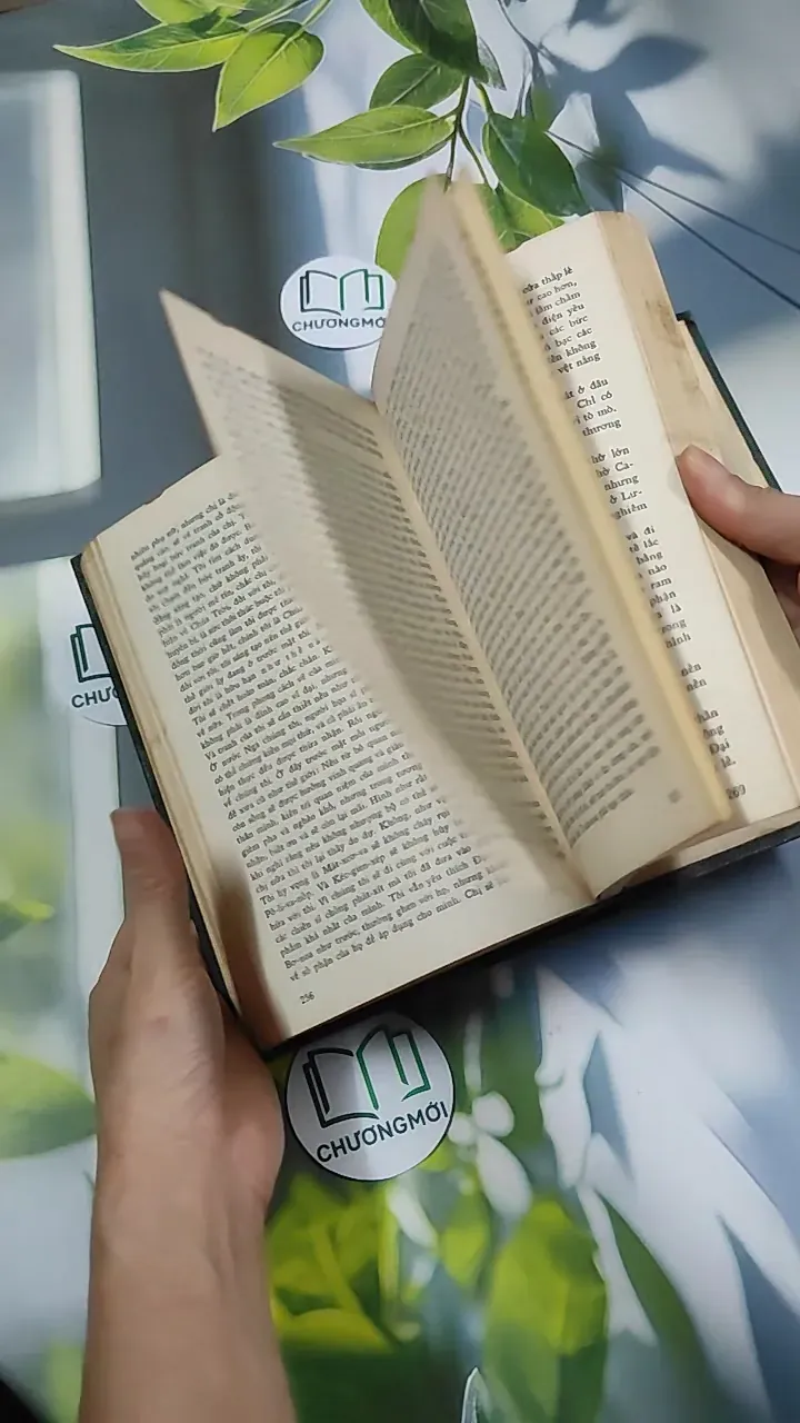 Bức Tranh - Đanhin Granhin 750804