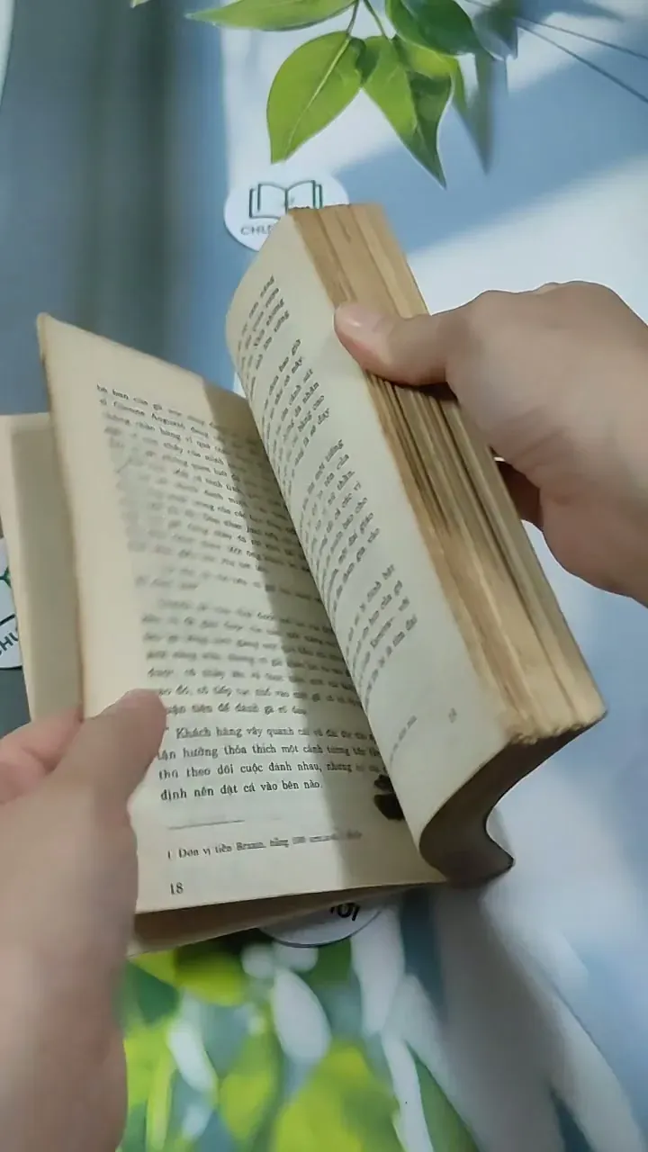 TêRêDa - G. AMaĐô 713871