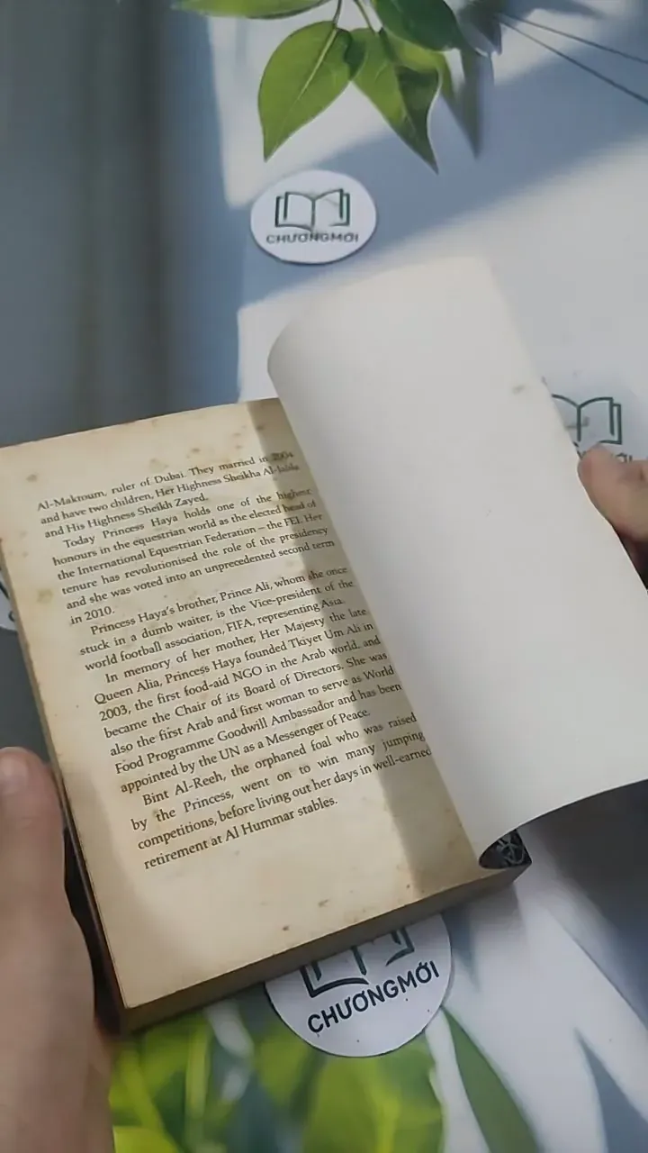 The Princess and the Foal - Stacy Gregg 715620