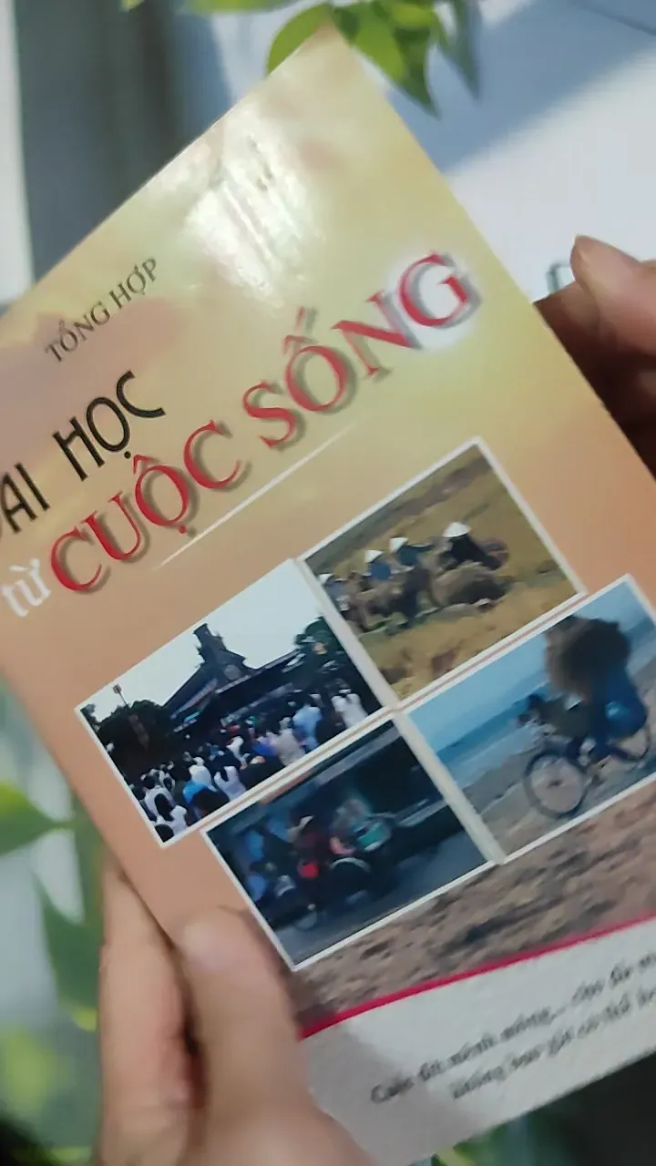 Bài Học Từ Cuộc Sống - Tổng Hợp 787130