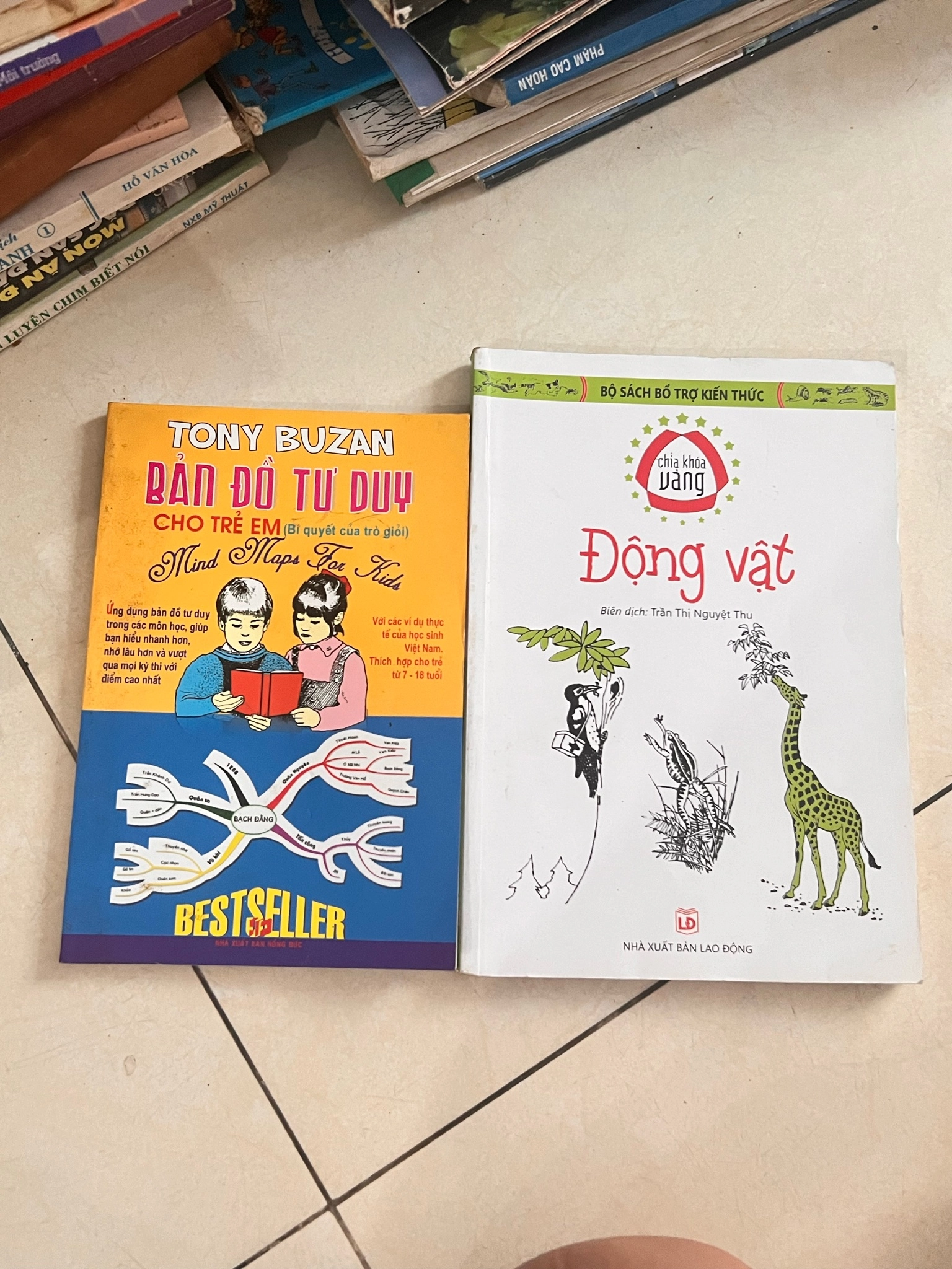Conbo 2 cuốn, sơ đồ tư duy và kỳ quan thế giới thực vật cho bé by  - Sách Book Cover - Ngọc Hiển Books