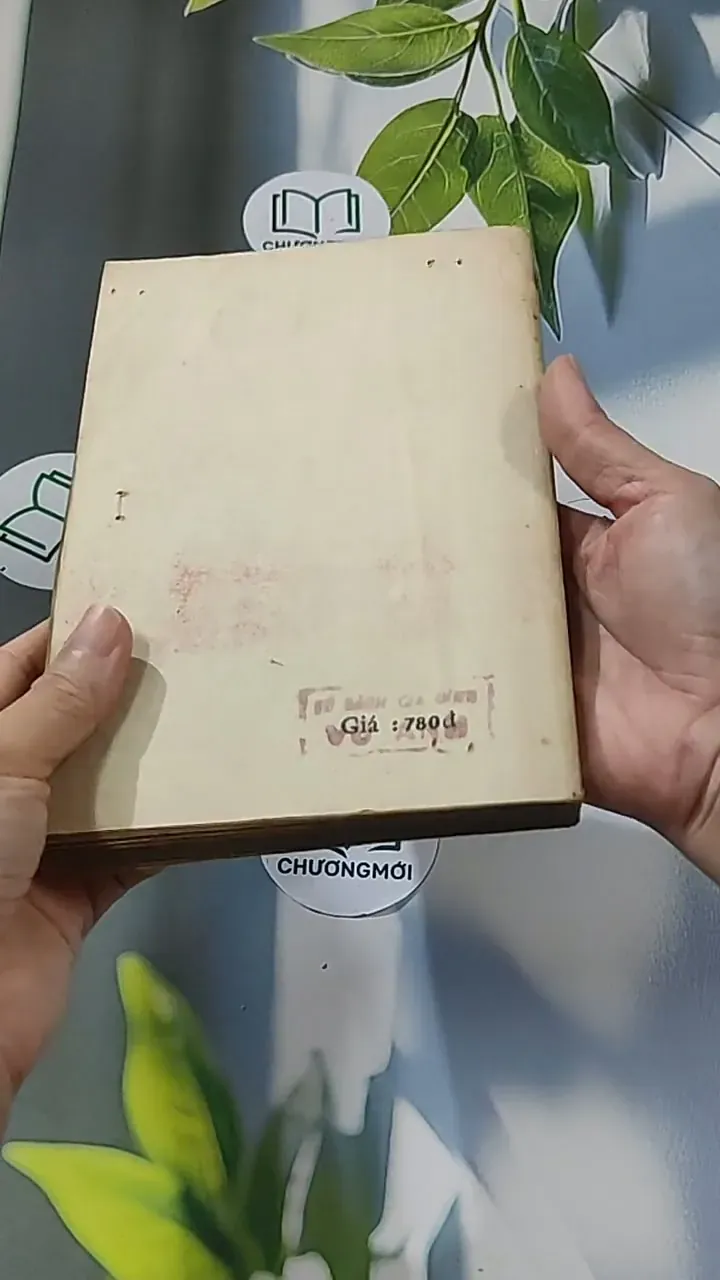 [MIỄN PHÍ BỌC SÁCH] Vùng Băng Tuyết (1988) - Y Kawabata 674973