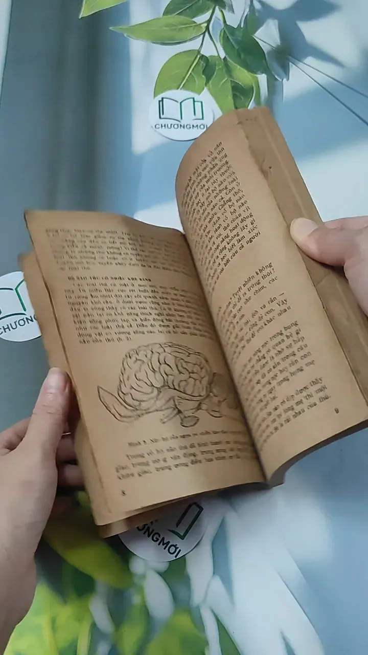 [XƯA] Tìm Hiểu Các Loài Thú (1988) - Lê Vũ Khôi 775993