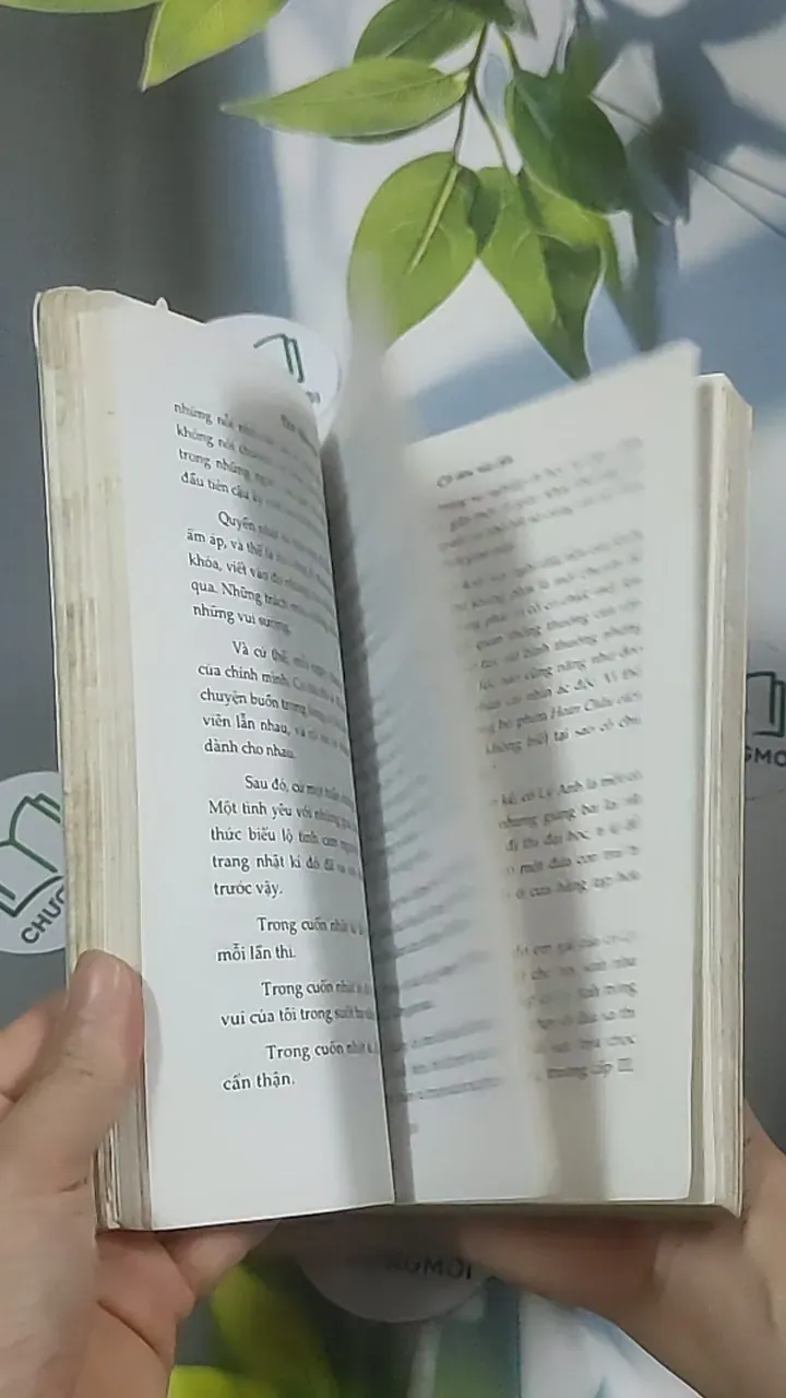 Cô đơn vào đời - Dịch Phấn Hàn 688643