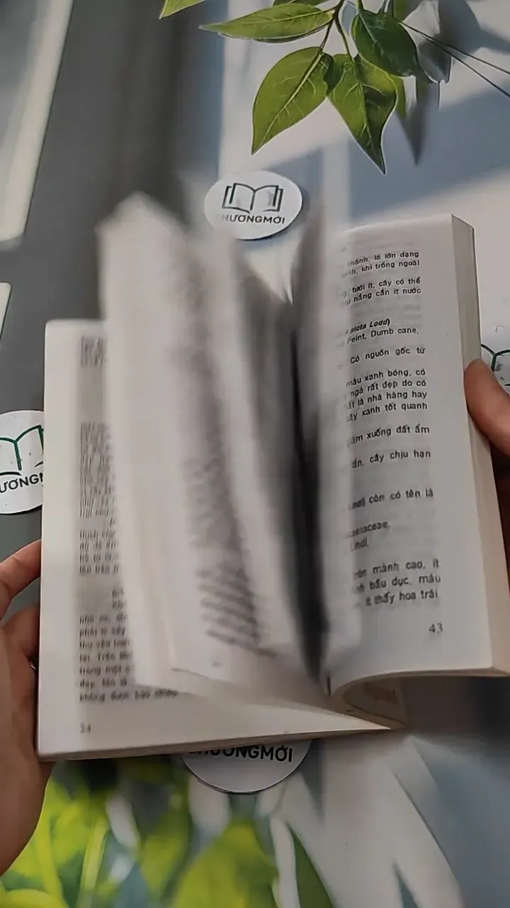 Kỹ Thuật Trồng Hoa Kiểng - Huỳnh Văn Thới 727272