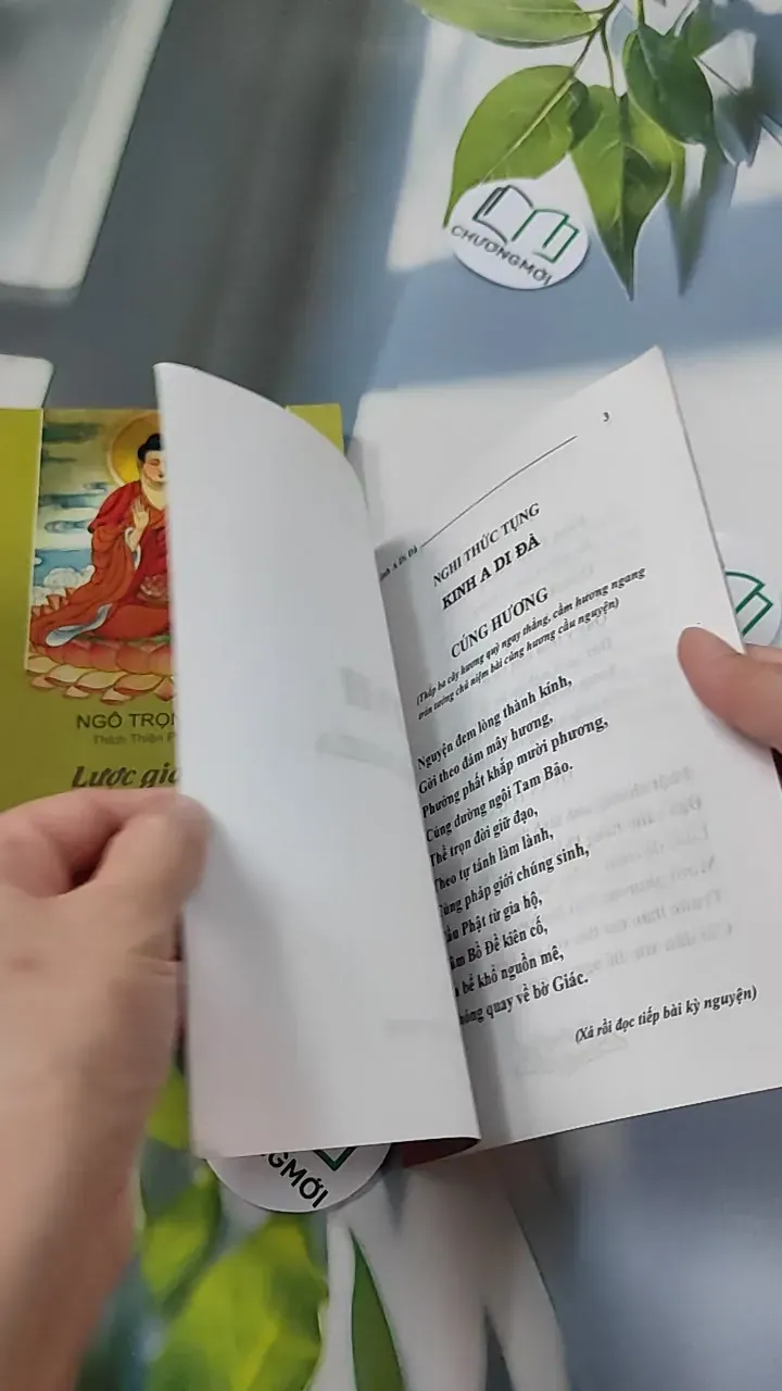 Lược Giải Kinh A Di Đà (Tặng Kinh A Di Đà Nghĩa) - Ngô Trọng Đức 776118