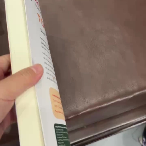 500 WORDS, PHRASES AND IDIOMS FOR THE TOEFL iBT – PLUS TYPING STRATEGIES - K3