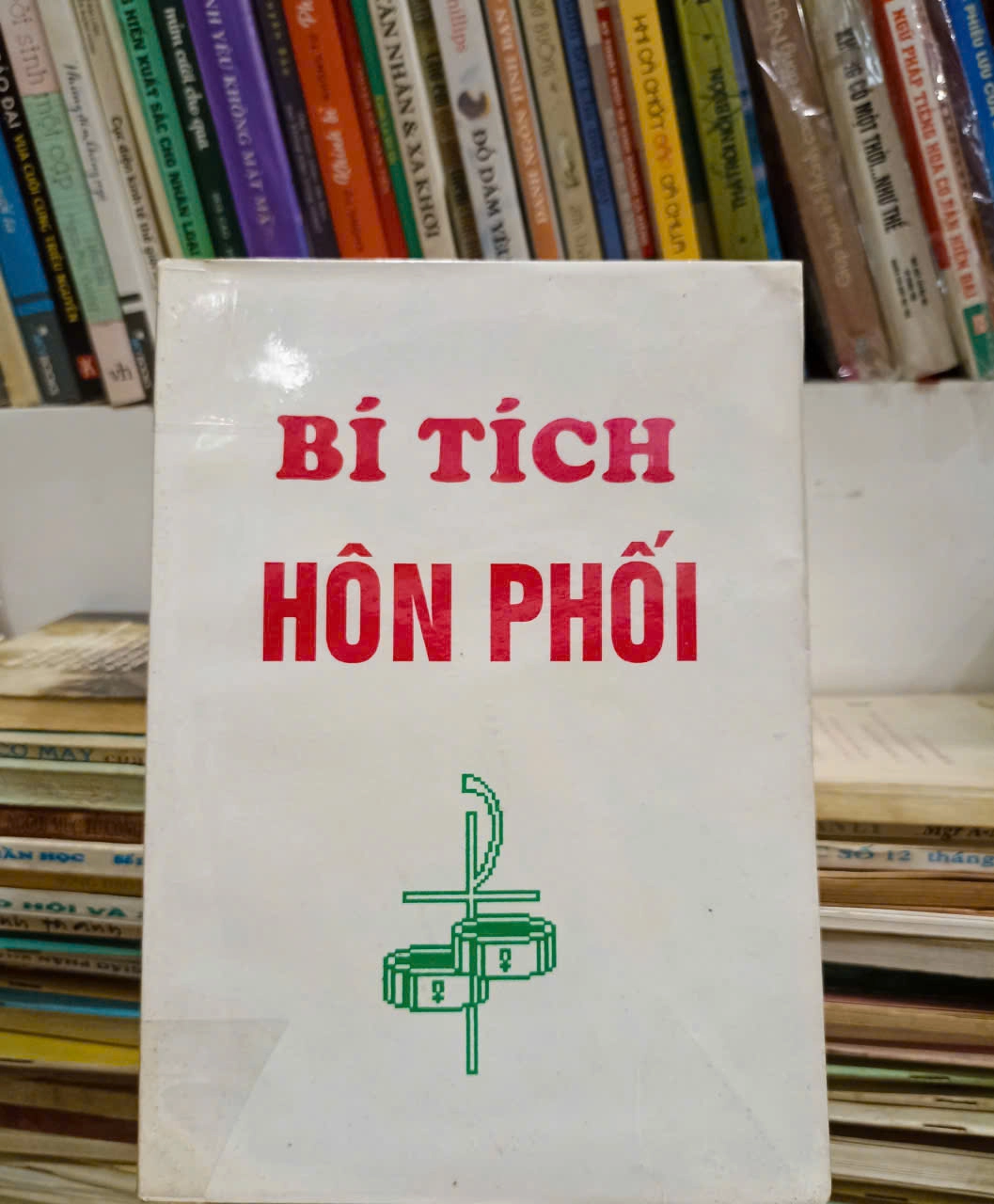 Bí Tích Hôn Phối by  - Sách Book Cover - Ngọc Hiển Books