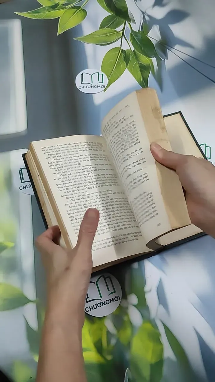 Bức Tranh - Đanhin Granhin 750804