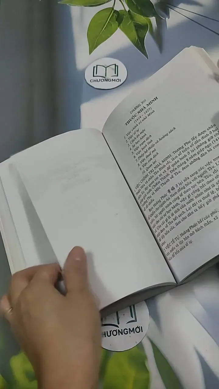 Việt Nam Sử Lược 715609