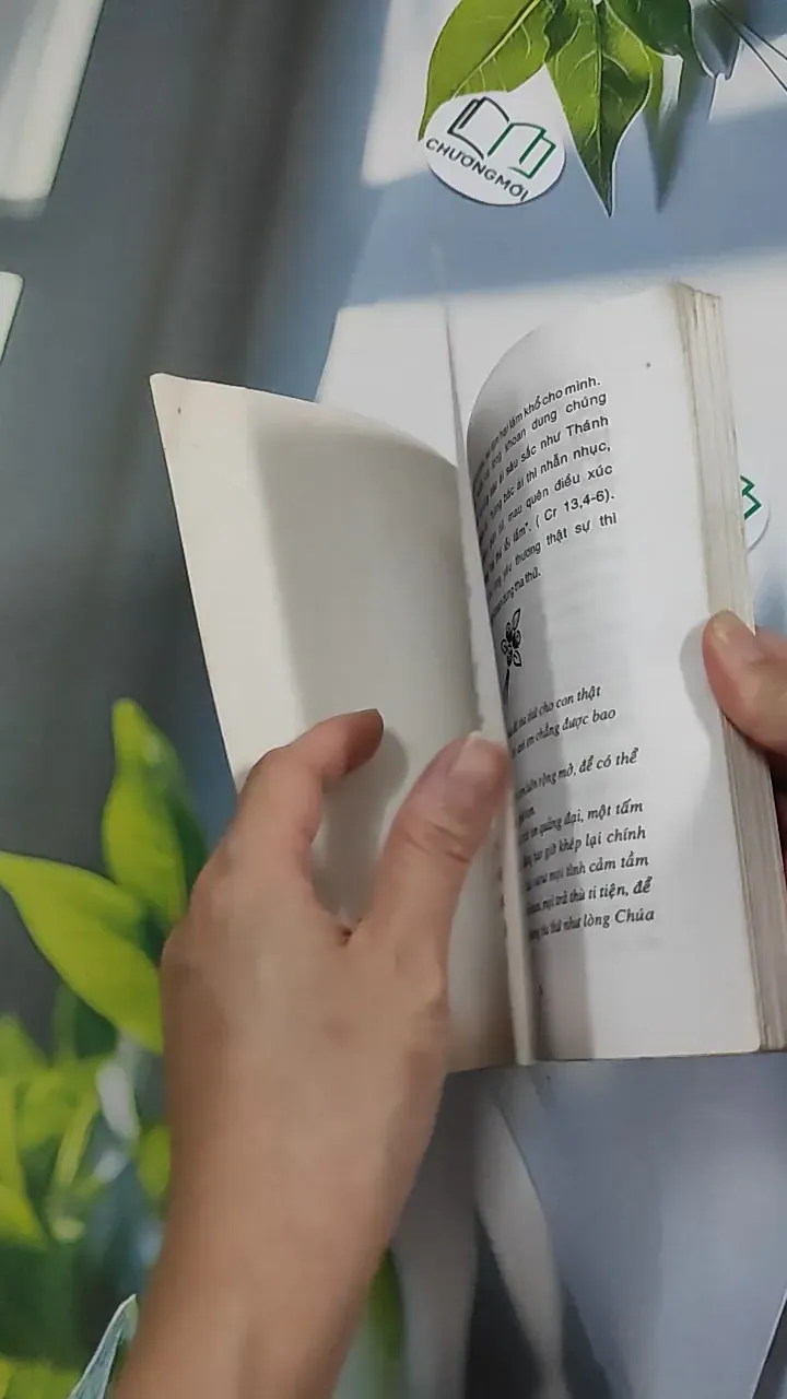 Tiếng Gọi Lòng - Truyện Công Giáo 776144