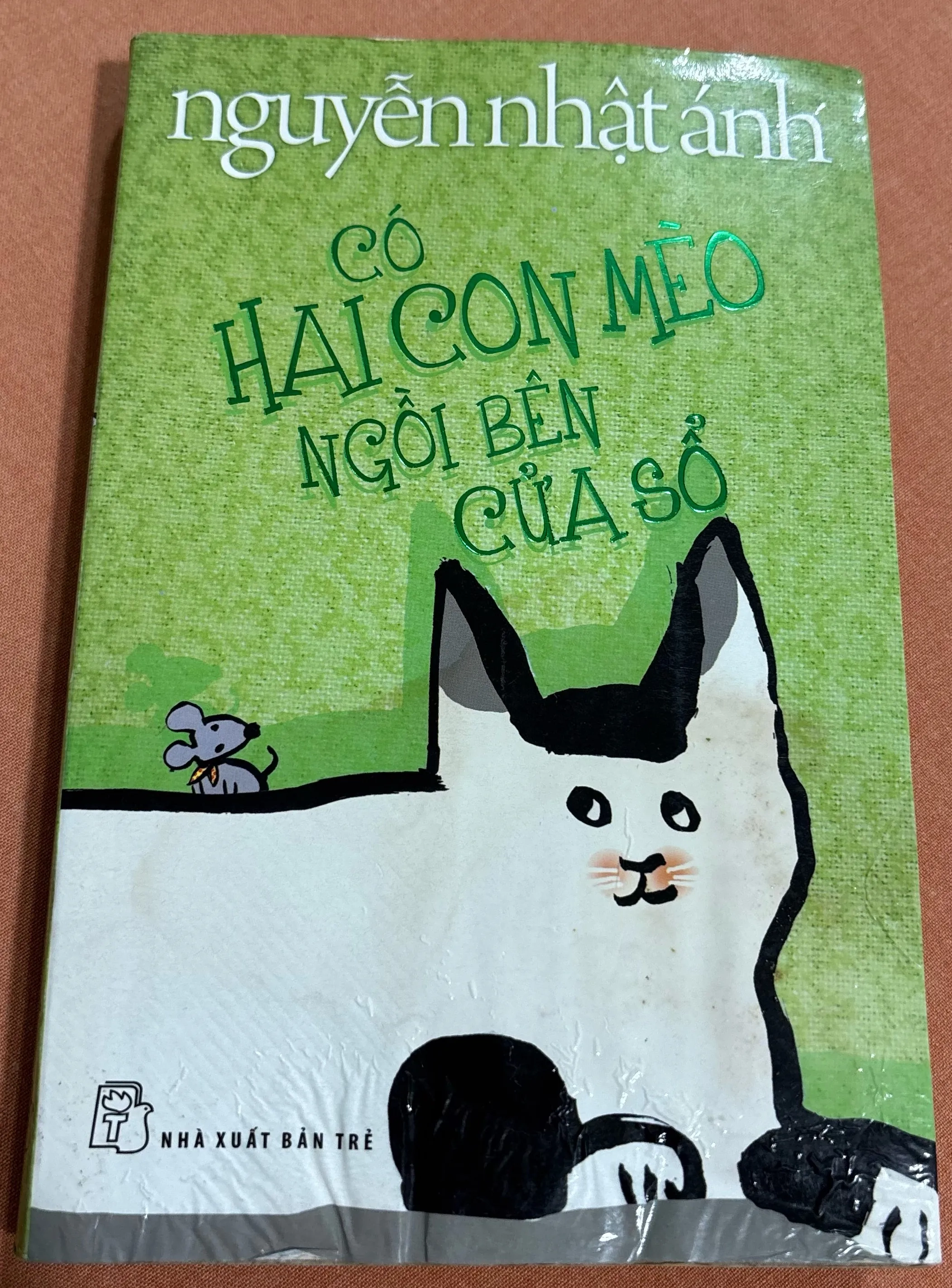 Có hai con mèo ngồi bên cửa sổ 🌊 by  - Sách Book Cover - Ngọc Hiển Books