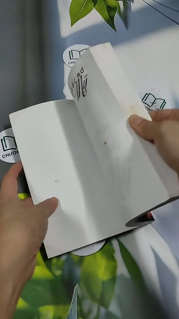 Giấc Mơ Mỹ - Vương Tâm 705661