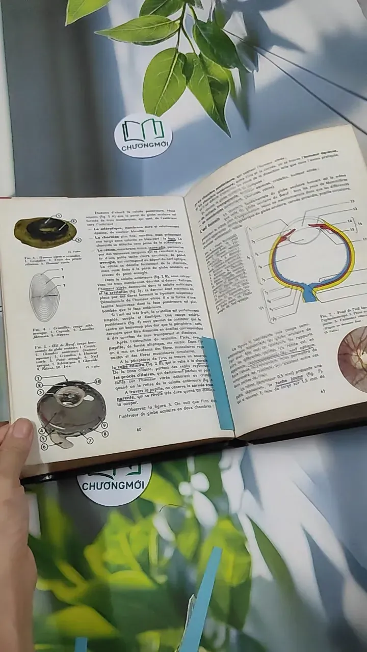 [MIỄN PHÍ BỌC SÁCH] Sciences Naturelles: Terminale D - Charles Désire 751224