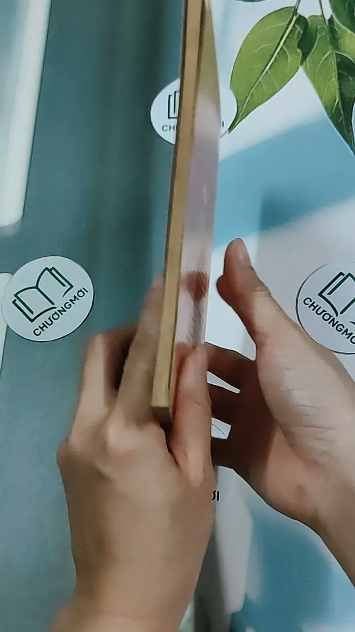 Frankenstein - Mary Wollstonecraft Shelley 634481