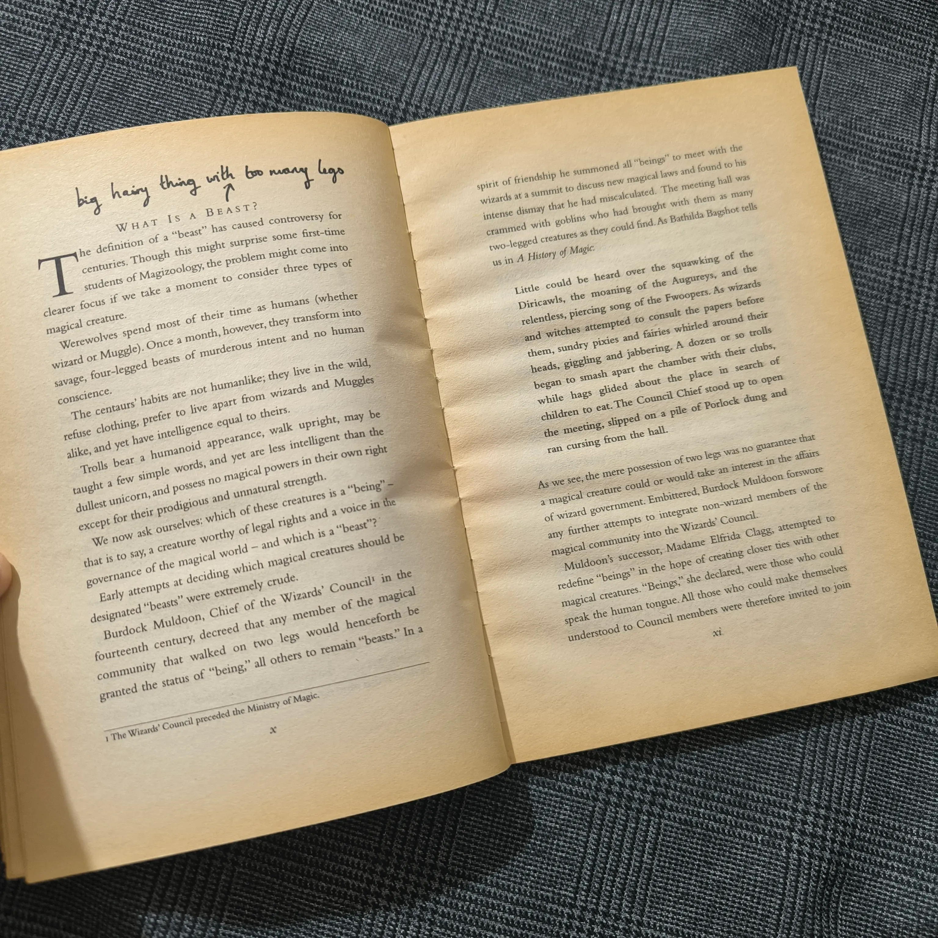 (Harry Potter) Fantastic Beasts & Where to find them - Newt Scamander 1005100