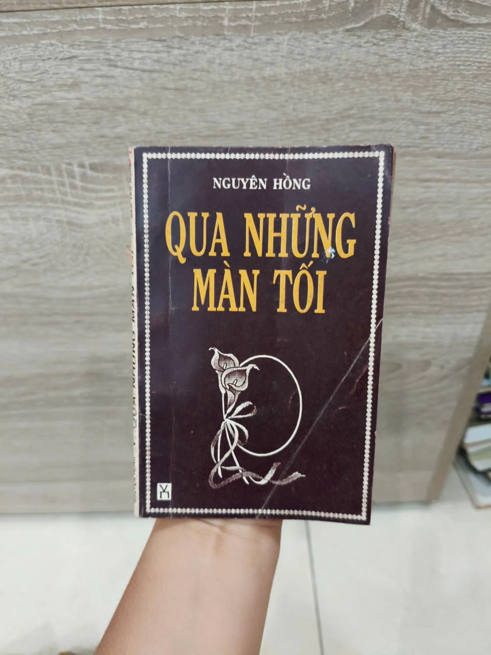 Qua Những Màn Tối by  - Sách Book Cover - Ngọc Hiển Books