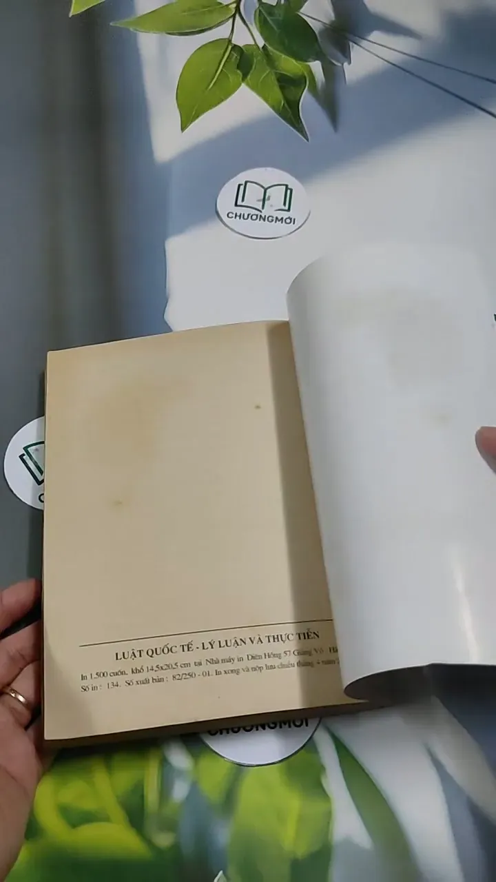 Luật Quốc Tế  Lý Luận Và Thực Tiễn - Trần Văn Thắng 707260