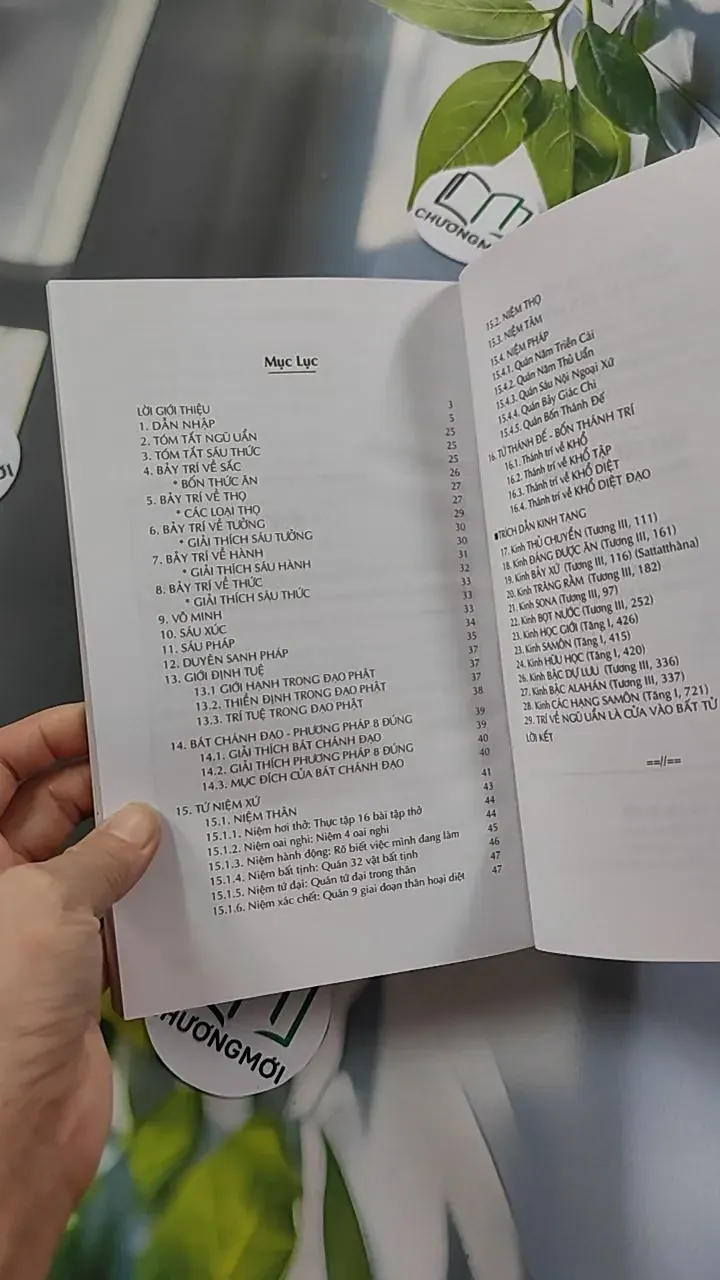 Tóm Tắt Năm Uẩn - Chơn Tín Toàn 776109