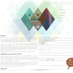 Đồng hồ Rolex Datejust 79174NR SSxWG tự động F - Hàng hiệu chính hãng 876305