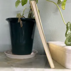 Nỗi nhục - Annie Ernaux 746492