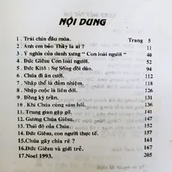 Trái chín đầu mùa 🌻 558359