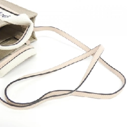 Túi xách mini Woody Chloe CHC22AP237 I26 - Hàng hiệu chính hãng 766520