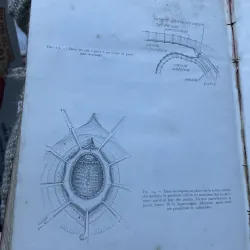 Kthuật phẫu thuật bằng hình ảnh -TECHNIQUE CHIRURGIEALE EN FIGURES G.JEANNENEY& J.MAGENDIE 1006345