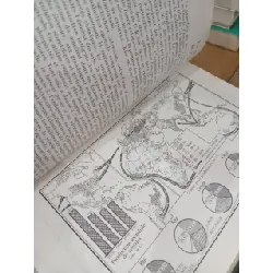 Géographie économique du monde 711564