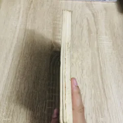 LUẬT ĐIỀN KINH  1042160
