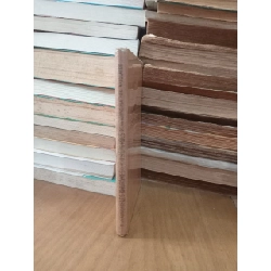 Les idiotismes et les proverbes de la conversation anglaise - R. Meadmore 1027021