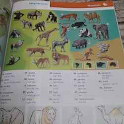 Oxford Picture Dictionary -English Vietnamese. 2nd. JAayme Adelson- Goldstein 690205