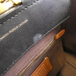 Túi Coach 78484 618561