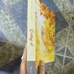 Đường về gặp lại dưới nắng mai - Mặc Bảo Phi Bảo 933570